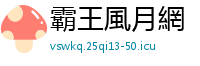 霸王風月網